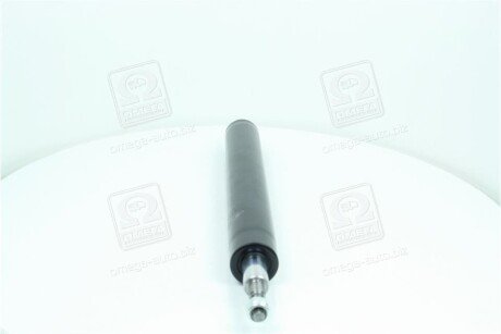 Передний амортизатор (стойка) rider 96445038