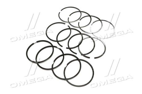 Поршневые кольца rider RD4021000100АР