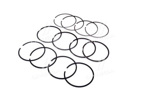 Поршневые кольца rider RD4051000100