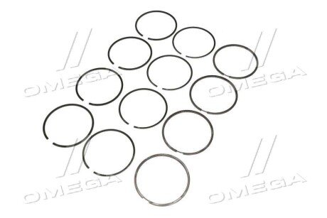 Поршневые кольца rider RD4051000100БР