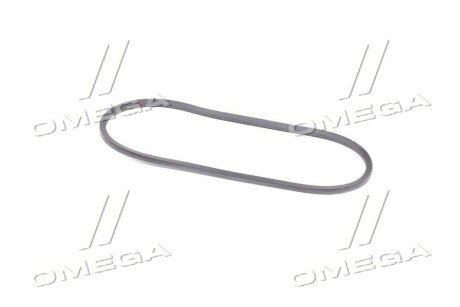 Привідний ремінь генератора rider 3211110227