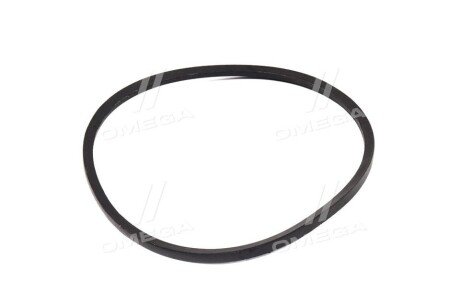 Ремінь 11х10х900 вентилятора ГАЗ дв. УМЗ-4215 rider 11х10х900CR