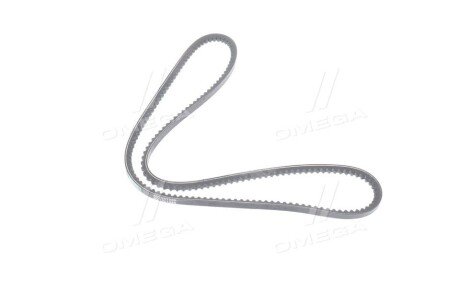 Ремінь кліновий 10A1250GL MAN, RVI MIDLINER, MIDLUM, PREMIUM, FORD TRANSIT rider RD10A1250VS