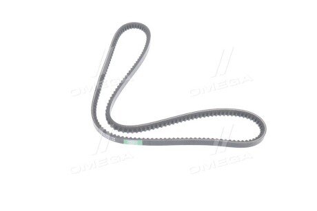 Ремінь кліновий 13A1225GL CASE IH; FENDT 100, 200; MASSEY FERGUSON; IVECO EUROCARGO I-III; MAN M 90; rider RD13A1225VS