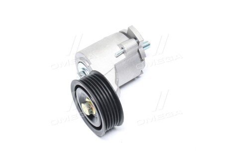 Ролик ремня генератора CHERY ELARA, TIGGO 06- с натяжит. rider RDA118111200CAT