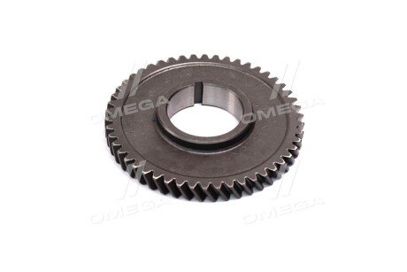 Шестерня коленвала Д-260, Z = 50 rider 2601005033