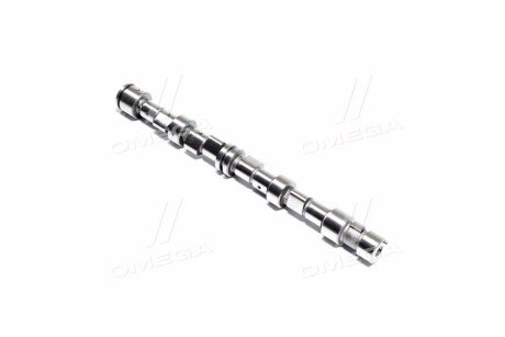 Вал розподільний DAEWOO LANOS, NEXIA двиг. 1,5 rider 96838024