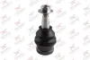 Подушка (опора) двигателя RODRUNNER BJA574