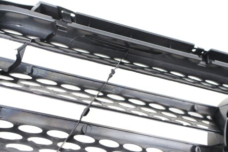 Решетка радиатора rotweiss DSC9018800385