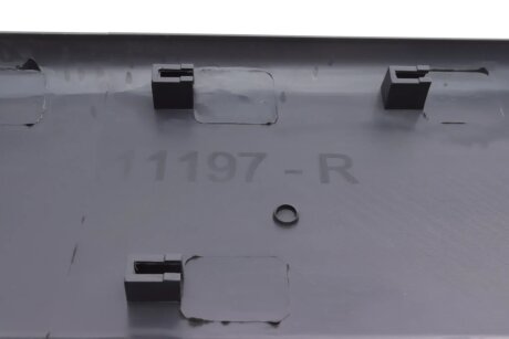 Молдинг кузова rotweiss RWS1161