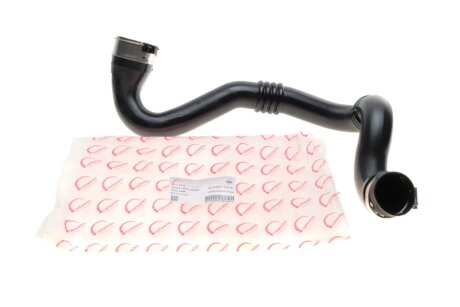 Патрубок повітряного фільтра rotweiss RWS2446 на Рено Мастер 3