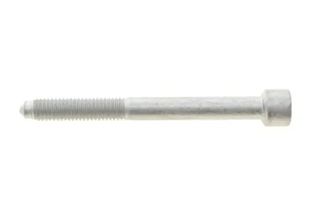 Болт кріплення форсунки Rotweiss RWS3878