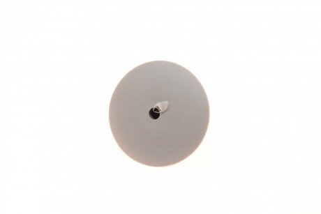 Клипса крепления rotweiss RWS1824