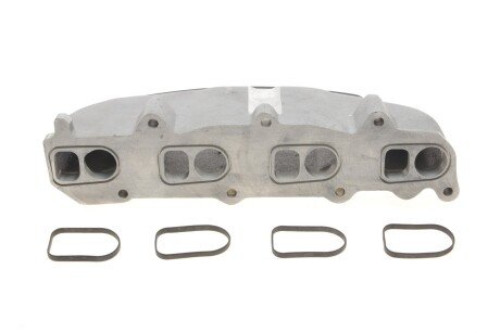 Колектор впускний rotweiss DSCRWS1692