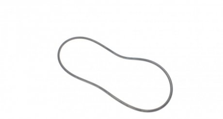 Коллектор впускной rotweiss RWS1692