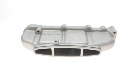 Коллектор впускной rotweiss RWS1692