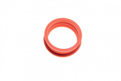 Кріплення патрубка повітряного фільтра rotweiss RWS2685