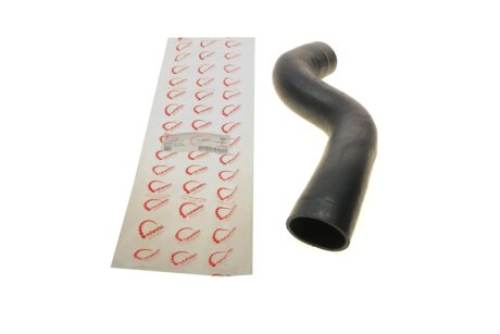 Патрубок інтеркулера (турбіни) rotweiss RWS2738 на Iveco Daily 3