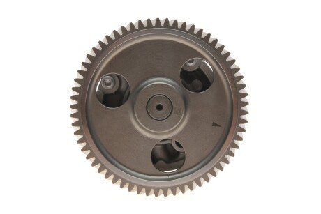 Помпа масла rotweiss 6511801400