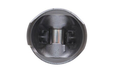 Поршень rotweiss 87725320501