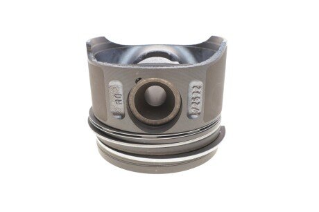 Поршень rotweiss 87725320501