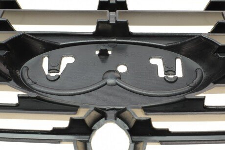 Решетка радиатора rotweiss RWS2265