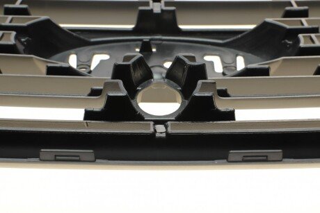 Решетка радиатора rotweiss RWS2265