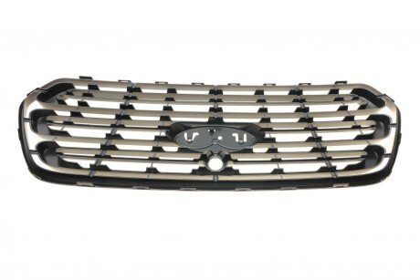 Решетка радиатора rotweiss RWS2265