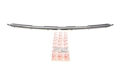 Решітка радіатора rotweiss 4478800082