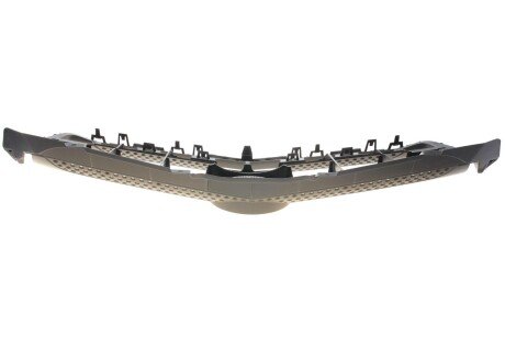 Решітка радіатора rotweiss RWS2809