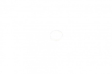 Ролик двери rotweiss RWS1213