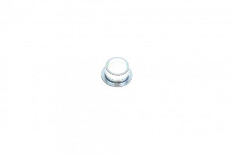 Ролик двери rotweiss RWS1213