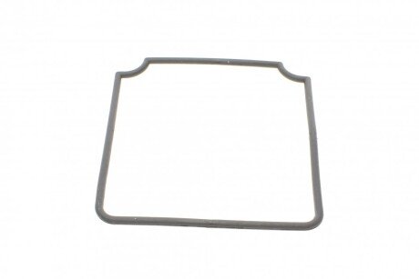 Ручка двери rotweiss RWS2295