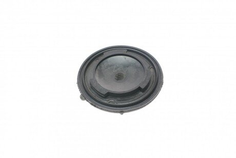 Заглушка крышки rotweiss RWS1930