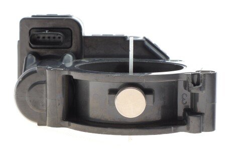 Заслінка дросельна rotweiss DSC6510900470