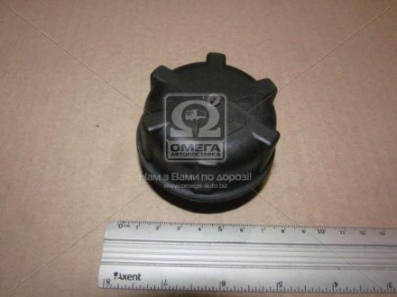 Крышка бачка расширительного DAF sampa 051063