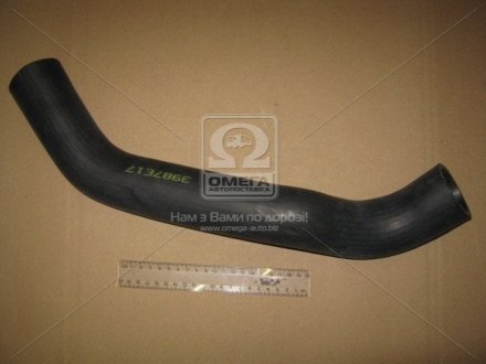 Шланг радиатора sampa 021112
