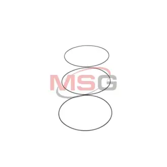 Уплотнительное кольцо компрессора SANTECH M201058
