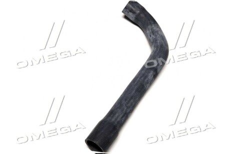 Патрубок водяного охолодження двигуна, праворуч зверху BMW sasic 3406084