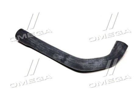 Патрубок водяного охолодження двигуна, праворуч зверху BMW sasic 3406084