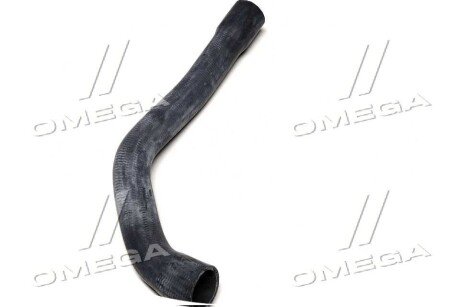 Патрубок водяного охолодження двигуна, праворуч зверху BMW sasic 3406084