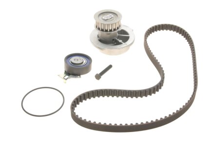 Комплект (ремінь+ролик+помпа) skf VKMC90202