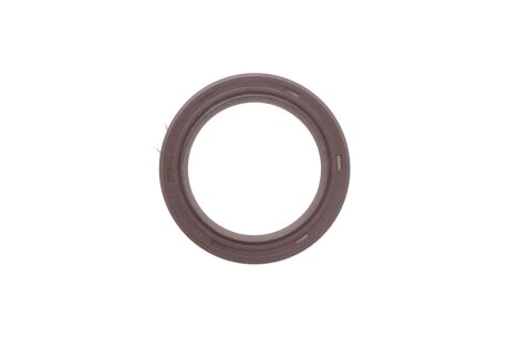 Комплект ланцюгів ГРМ і маслонасоса з шестернями FORD 1,8/2,0 16V 00- skf VKML840041