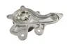 TOYOTA Помпа води AURIS 1.2 15-18, C-HR (_X1_) 1.2 16- SKF VKPC 91871
