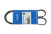 Доріжковий пас SKF VKMV6PK1020R