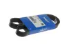 Доріжковий пас SKF VKMV6PK1020R