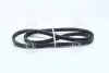 Клиновой ремень SKF VKMV13AVx1250