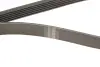 Комплект доріжкових пасків SKF VKMA35359 (фото 4)