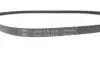 Комплект доріжкових пасків SKF VKMA36067