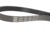 Комплект доріжкових пасків SKF VKMA36145